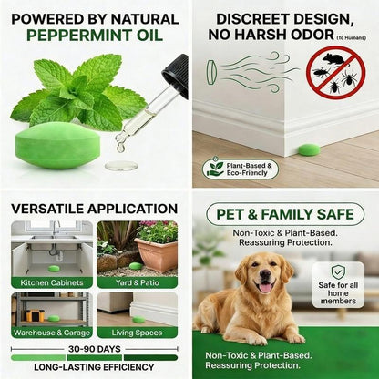 Popular Natural Rodent Repellent Balls!